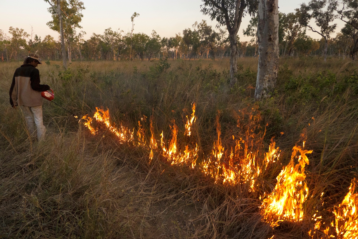Sustainable savanna burning on Tiwi Islands, Australia